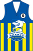 Deakin  University FC