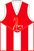 Shepparton  Swans FC