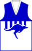 Temora FC